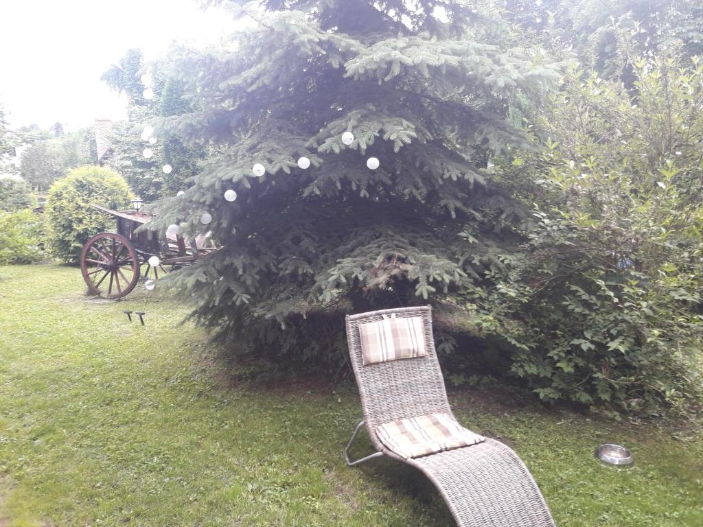 Vonkajšia záhrada v ubytovaní Jurajskie Zacisze