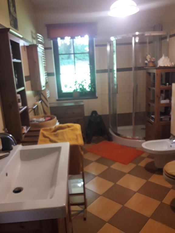 Kúpeľňa v ubytovaní Jurajskie Zacisze