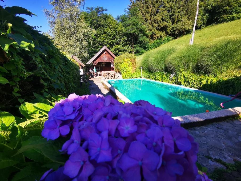 Bazén v ubytování Glamping MM nebo v jeho okolí