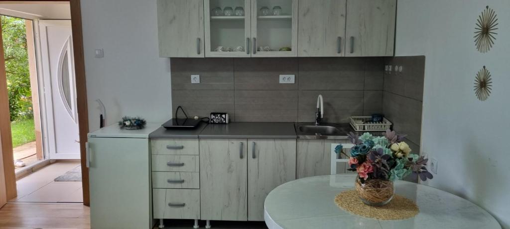 Кухня або міні-кухня у Apartman Studio Teona