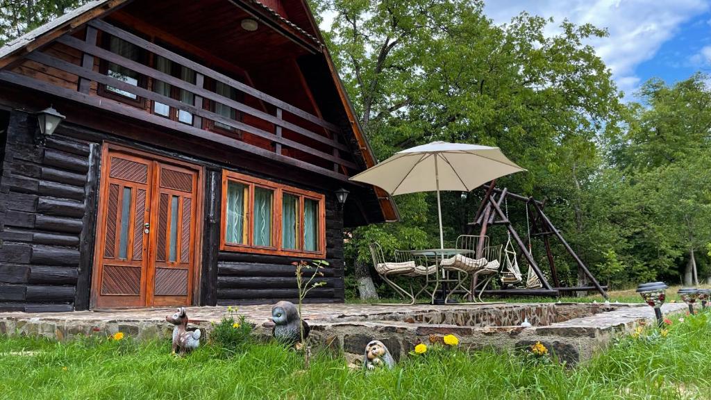 a wooden house with a table and an umbrella at Cabana Paulina in Chişcău