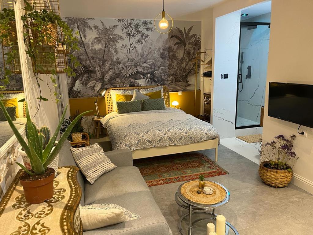 Postel nebo postele na pokoji v ubytování Superbe appartement avec jacuzzi avec jardin privé
