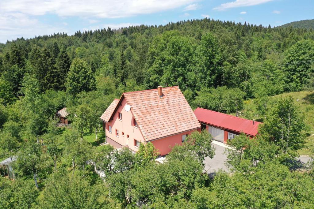 una vista aérea de una casa en el bosque en Biljevina, en Saborsko
