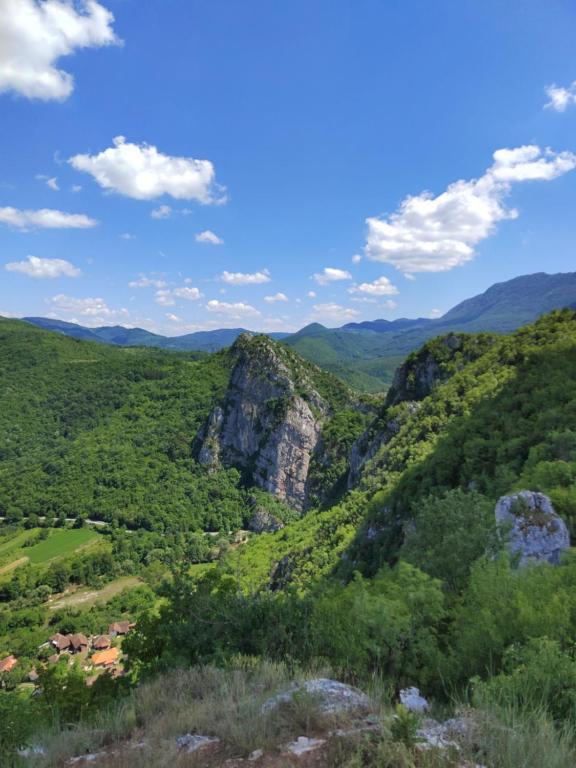 Příroda nedaleko apartmánu