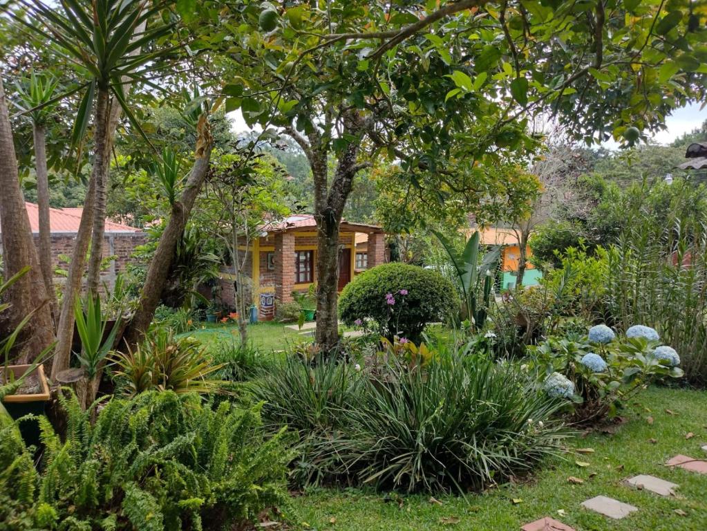 un jardin en face d'une maison dans l'établissement HOSTAL CABAÑAS AVE MARIA, à Concepción de Ataco