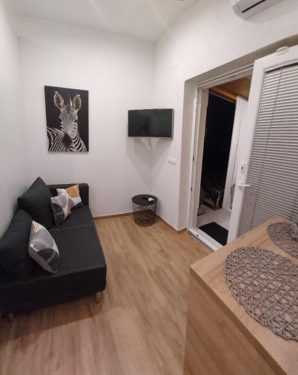 Телевизор и/или развлекательный центр в Studio apartman Oliva