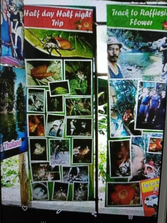 Fotografie z fotogalerie ubytování Wassana Camp & Khai jungle experience v destinaci Ban Kraison