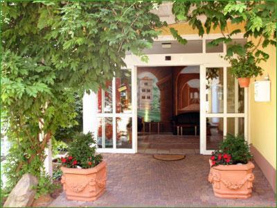 an entrance to a house with two large pots of flowers at Haus am Park in Bad Hersfeld