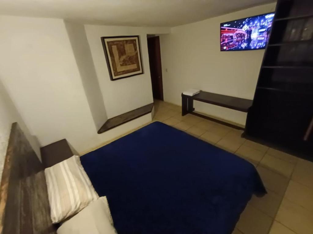 a living room with a blue carpet and a tv at El Arrayan in Valle de Bravo