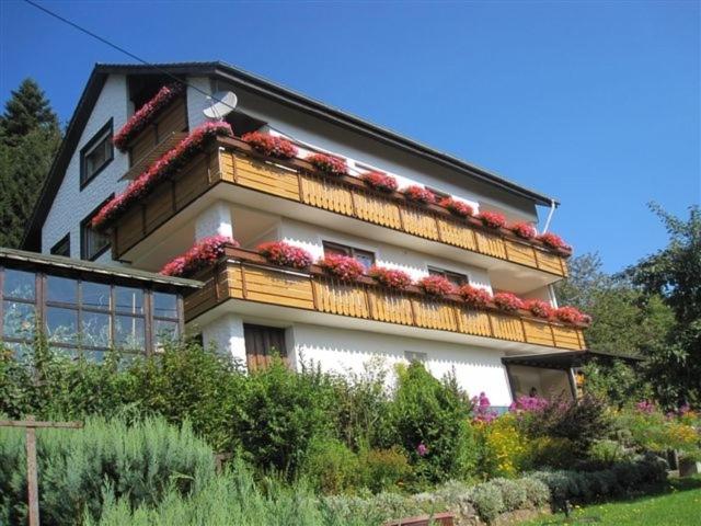 un edificio con cajas de flores en su lado en Pension Hildegund, en Lauterbach
