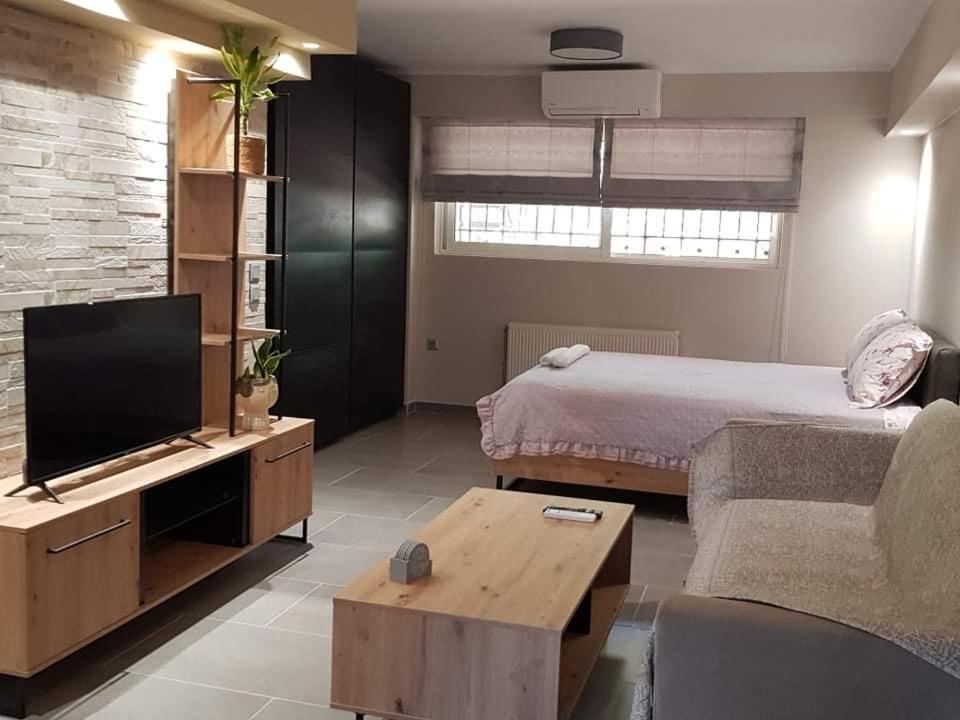 TV a/nebo společenská místnost v ubytování Lefkaditika Luxury Apartment