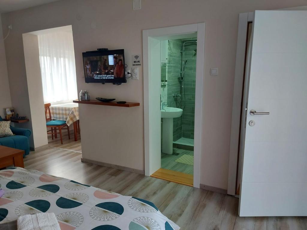 TV a/nebo společenská místnost v ubytování Apartmani MALINA