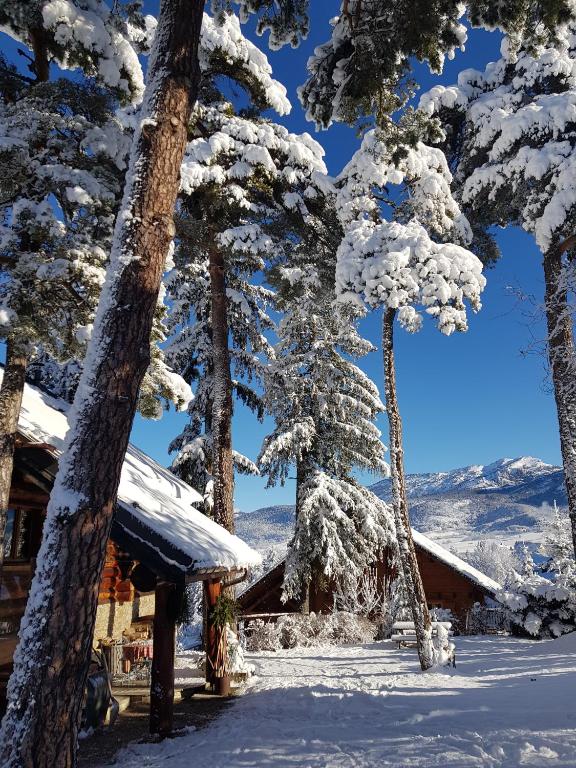 a cabin in the snow with snow covered trees at Magnifique chalet en rondins avec sauna - Vercors in Villard-de-Lans