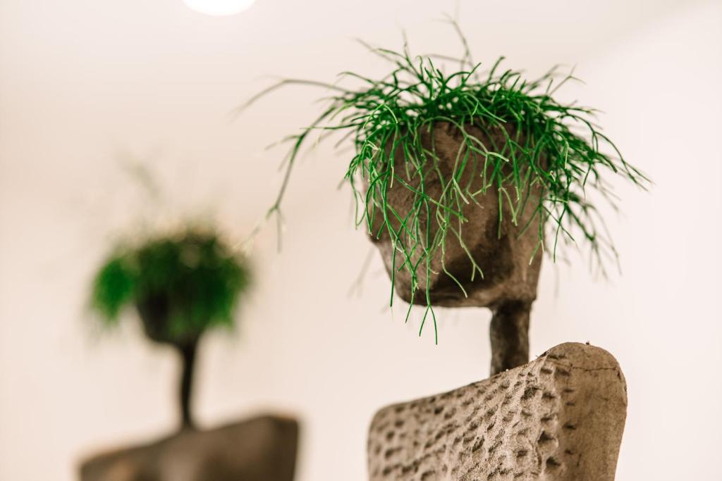 LOOMZ living Self-check-in - Resim 22