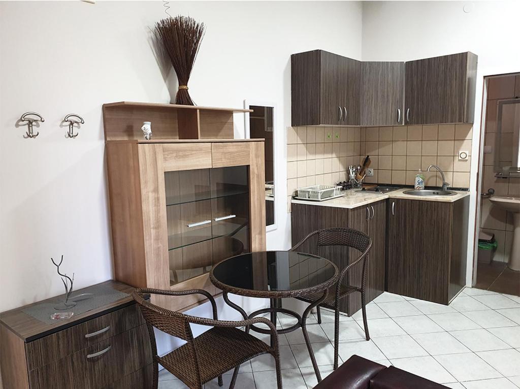 Köök või kööginurk majutusasutuses ATRIJUM apartmani Apatin