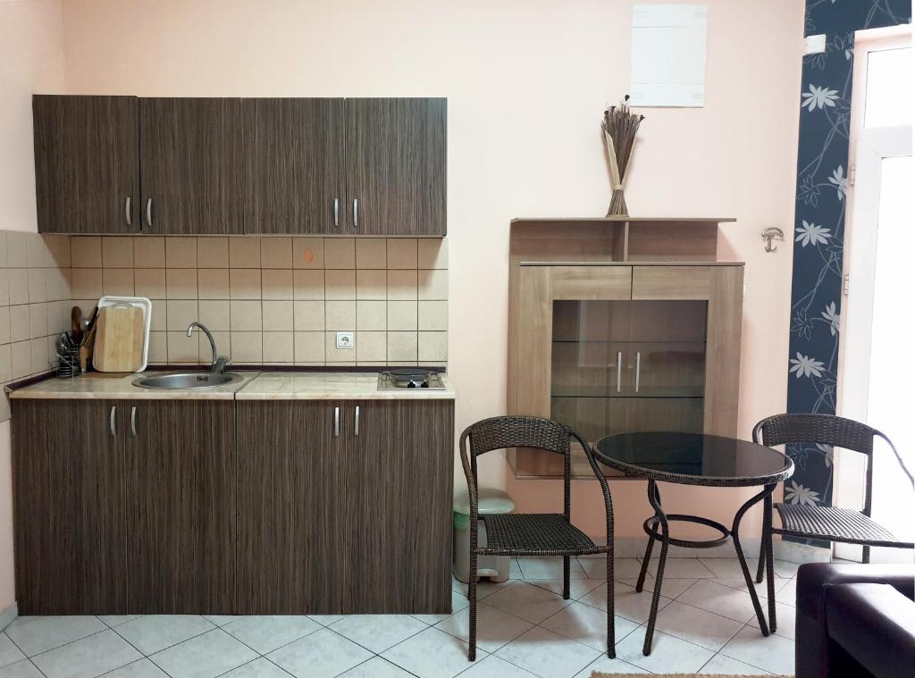 Köök või kööginurk majutusasutuses ATRIJUM apartmani Apatin