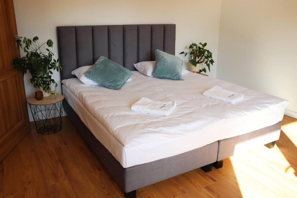 Apartamenty Pardałówka 50 - 3