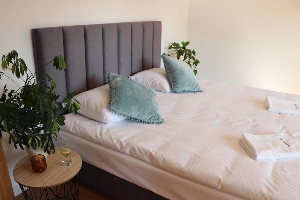 Apartamenty Pardałówka 50 - 4