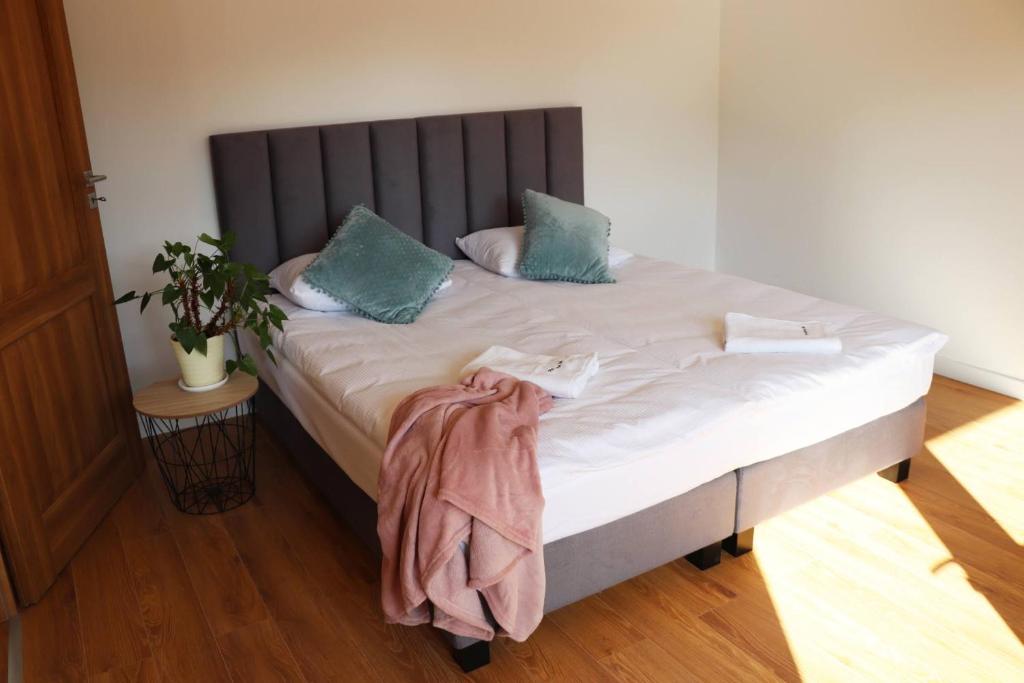 Apartamenty Pardałówka 50 - 5