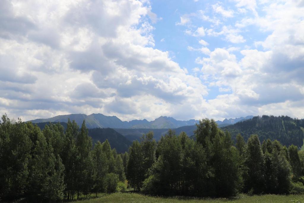 Apartamenty Pardałówka 50 - 12