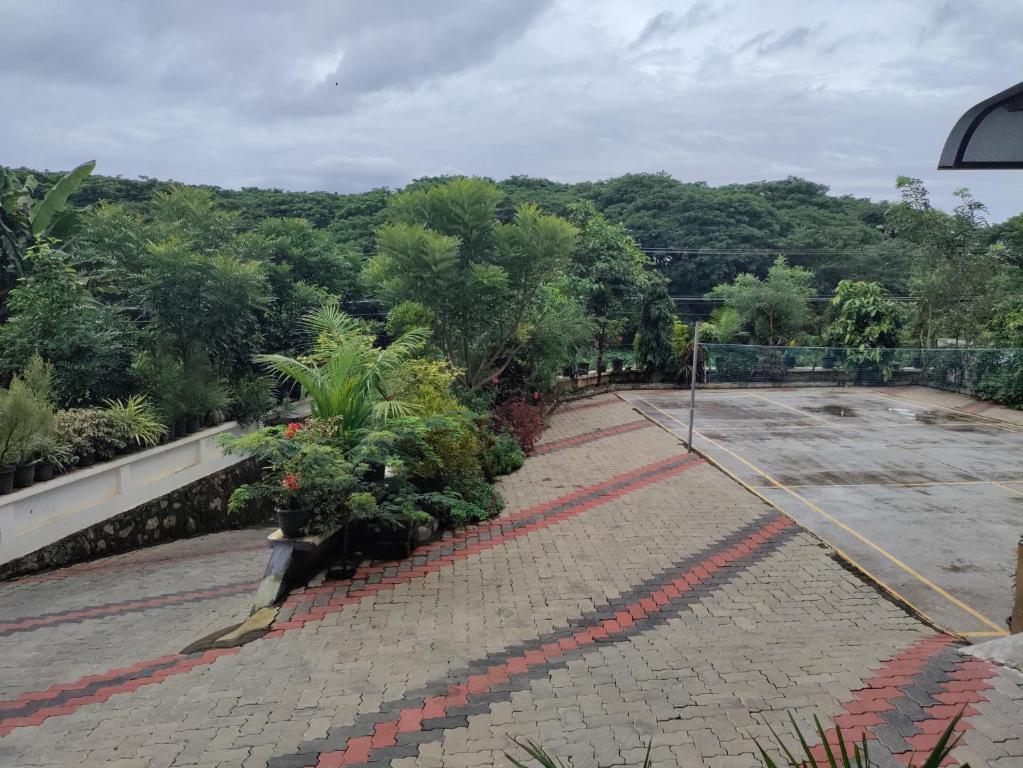 Příroda nedaleko hotelu