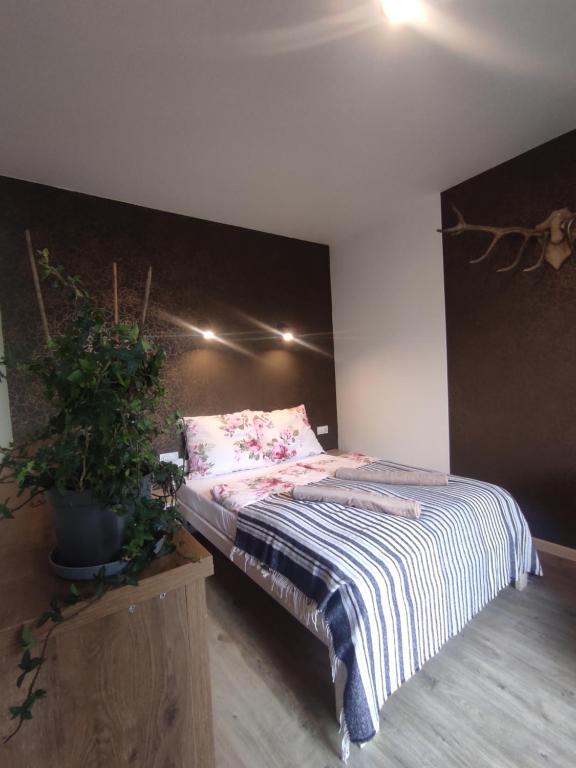 a bedroom with a bed and a potted plant at Dom Wakacyjny Krawno in Piecki