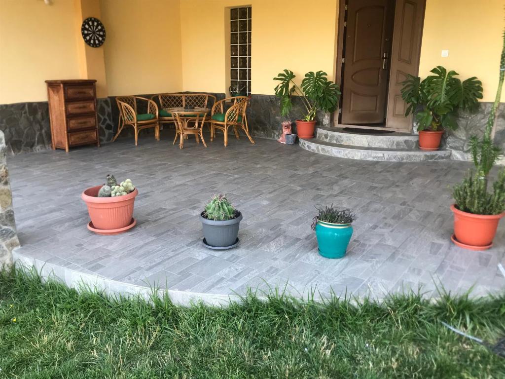 un patio con piante in vaso, tavolo e sedie di Apartament La Vilă a Curtea de Argeş