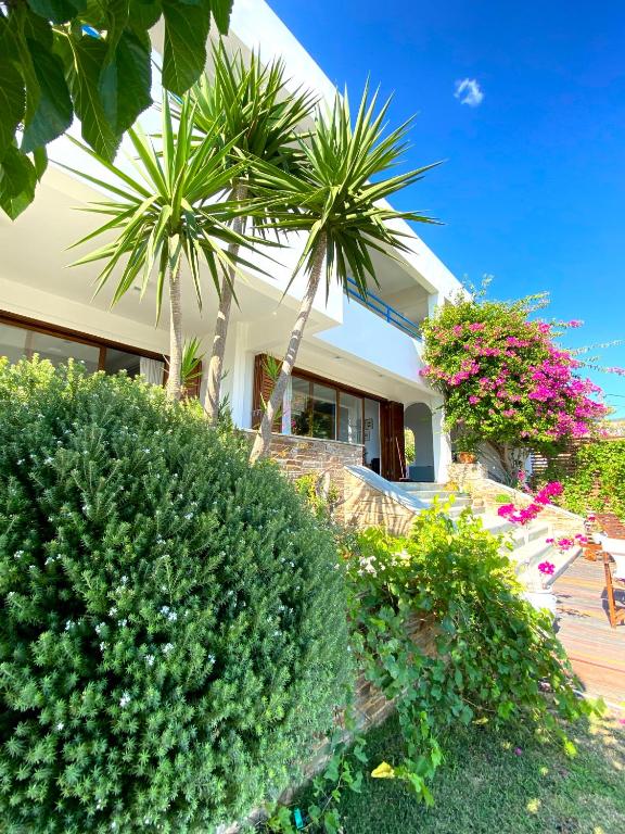 a house with palm trees and bushes in front of it at Svolis Beachhouse - Villa Set in a Beautiful Bay in Karistos
