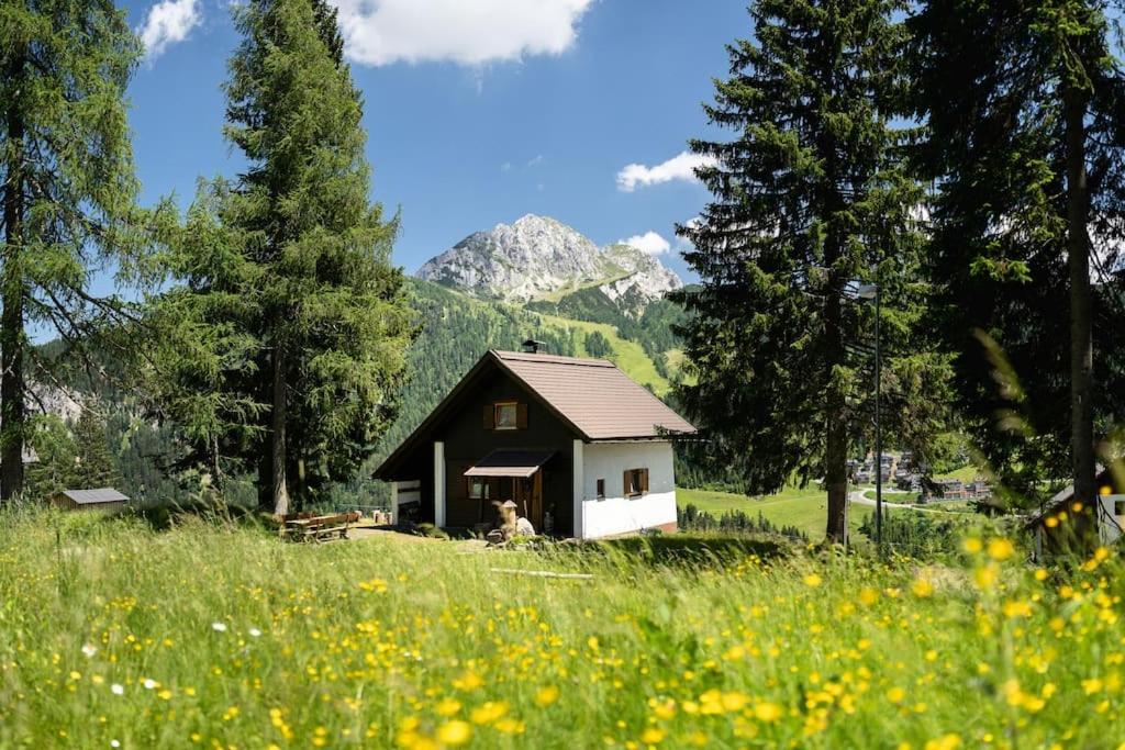 una casa en un campo con una montaña en el fondo en Gemütliche Hütte in den Bergen, en Sonnenalpe Nassfeld
