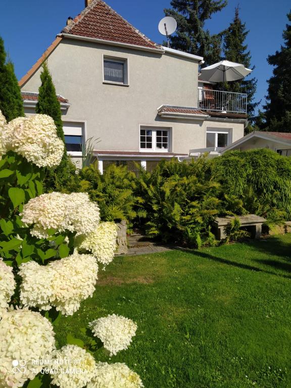 a house with white flowers in front of a yard at Domizil der Sinne in Bad Liebenwerda