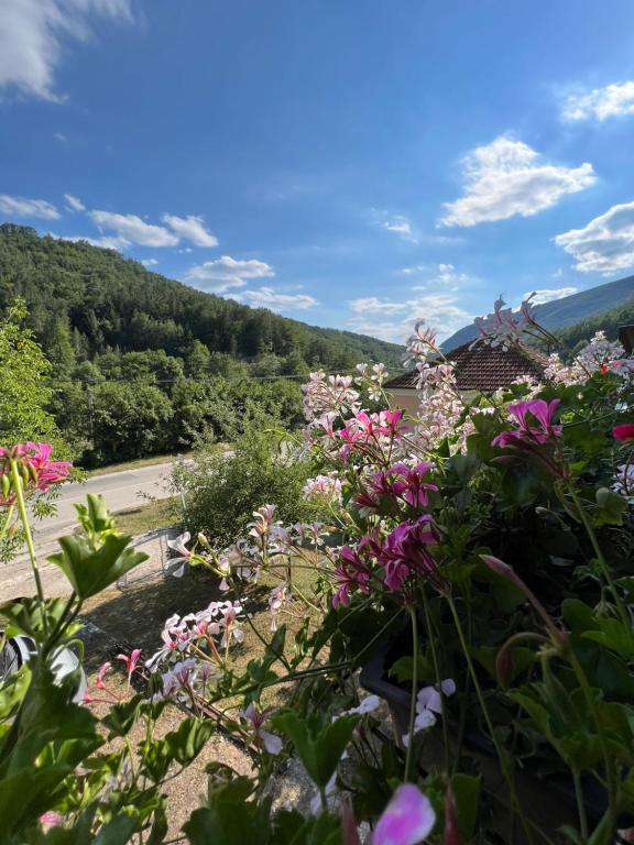 a garden of flowers with a road in the background at Mokra Gora Central Apartments in Mokra Gora