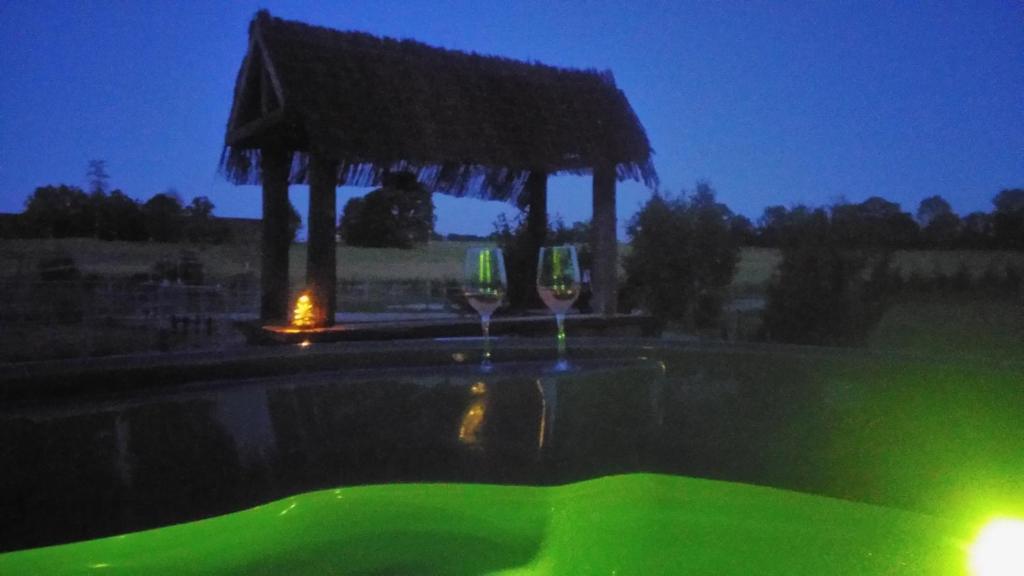 dos copas de vino sentadas junto a una piscina por la noche en Soirée romantique avec Bain Nordique sur Domaine Equestre, Studio Tout Confort 