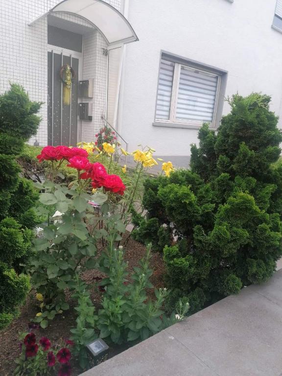 a garden with red and yellow flowers in front of a house at Ferienwohnung Gabry in Saarlouis