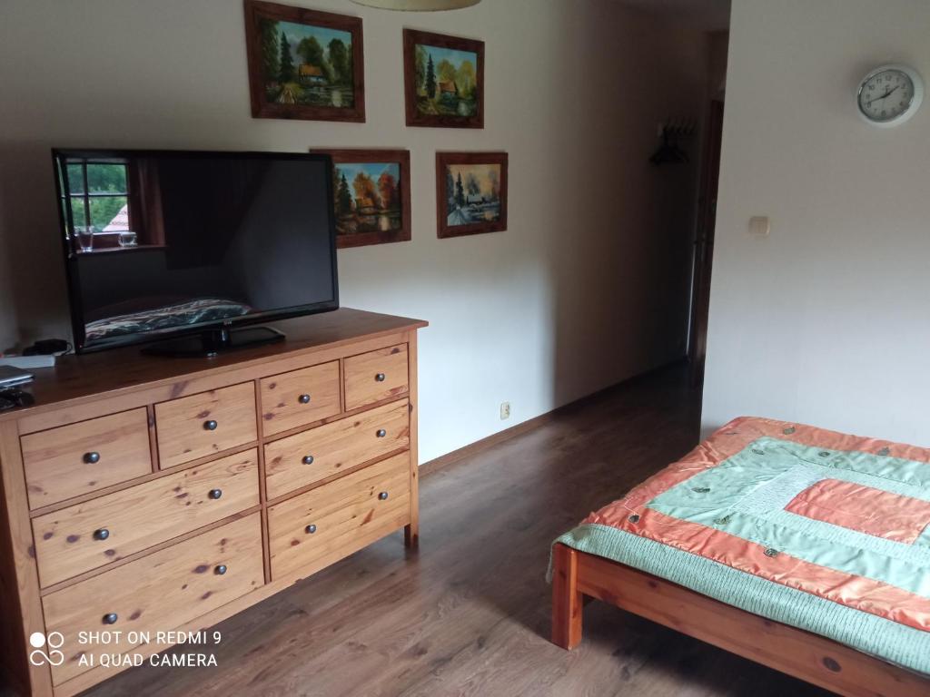 TV a/nebo společenská místnost v ubytování Pensjonat u Garncarza