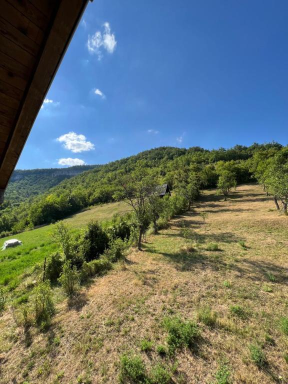 Příroda nedaleko apartmánu