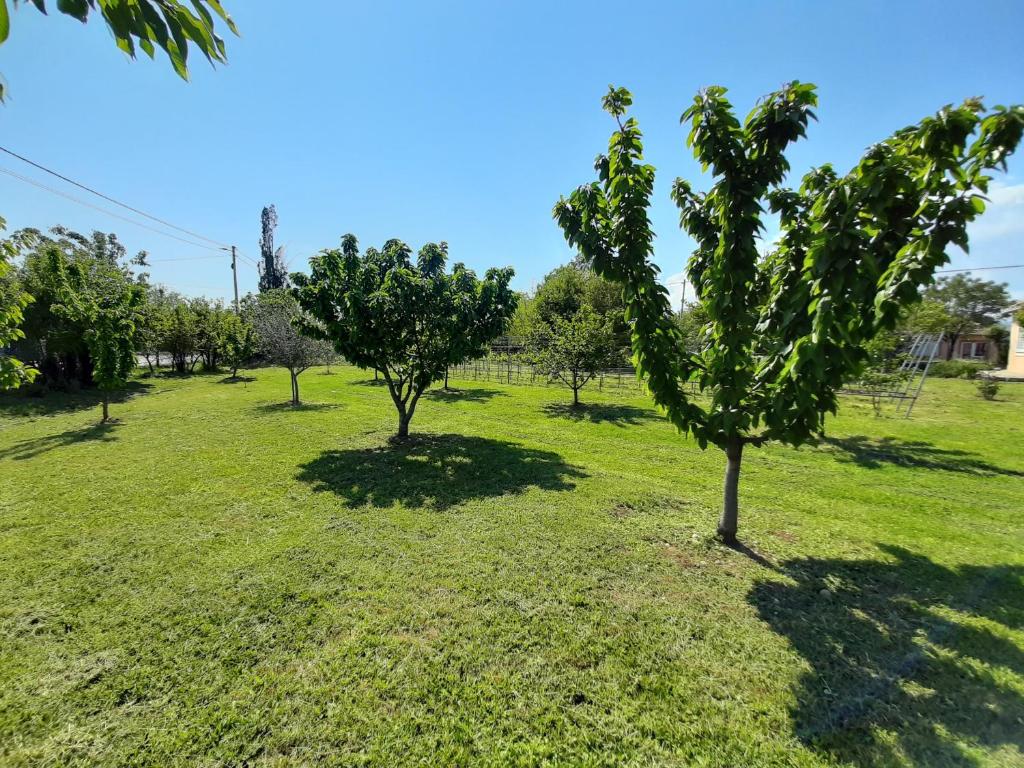 Home Mia Airport - 15