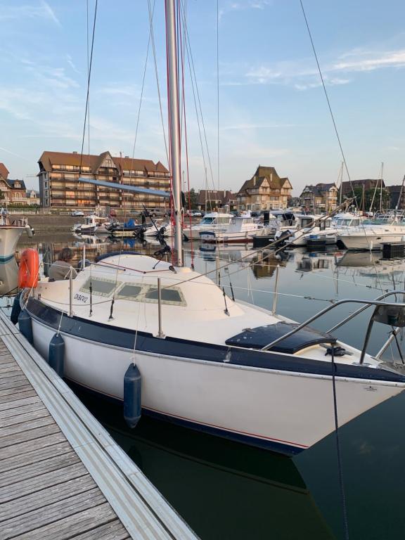 a sailboat docked in a marina with other boats at Madi au fil de l'eau à Deauville in Deauville