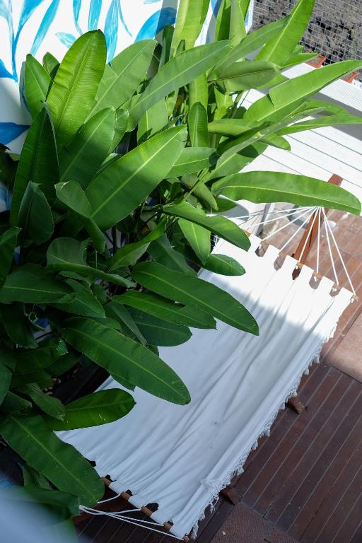 Fotografie z fotogalerie ubytování Dip & Doze Living v destinaci Canggu