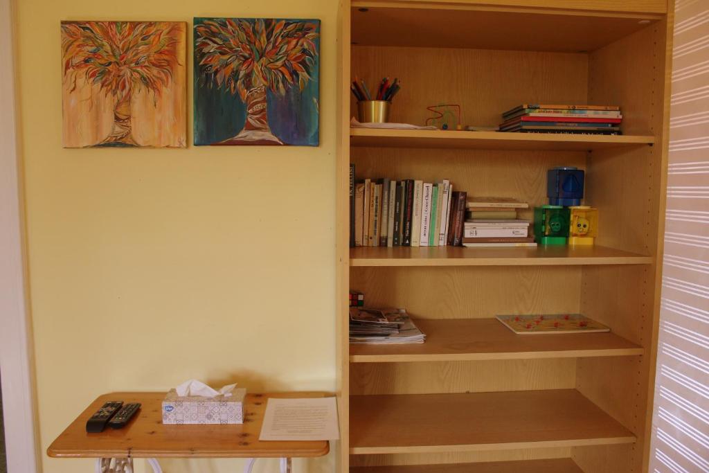 Knihovna v apartmánu