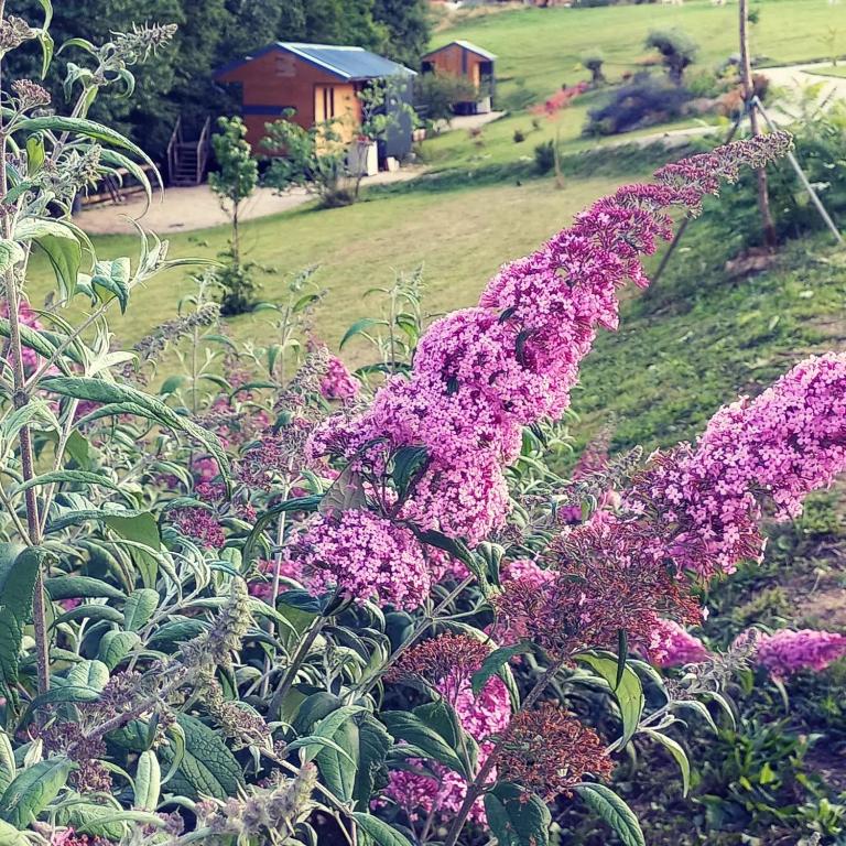 Zahrada ubytování Le monde d'Echozellia