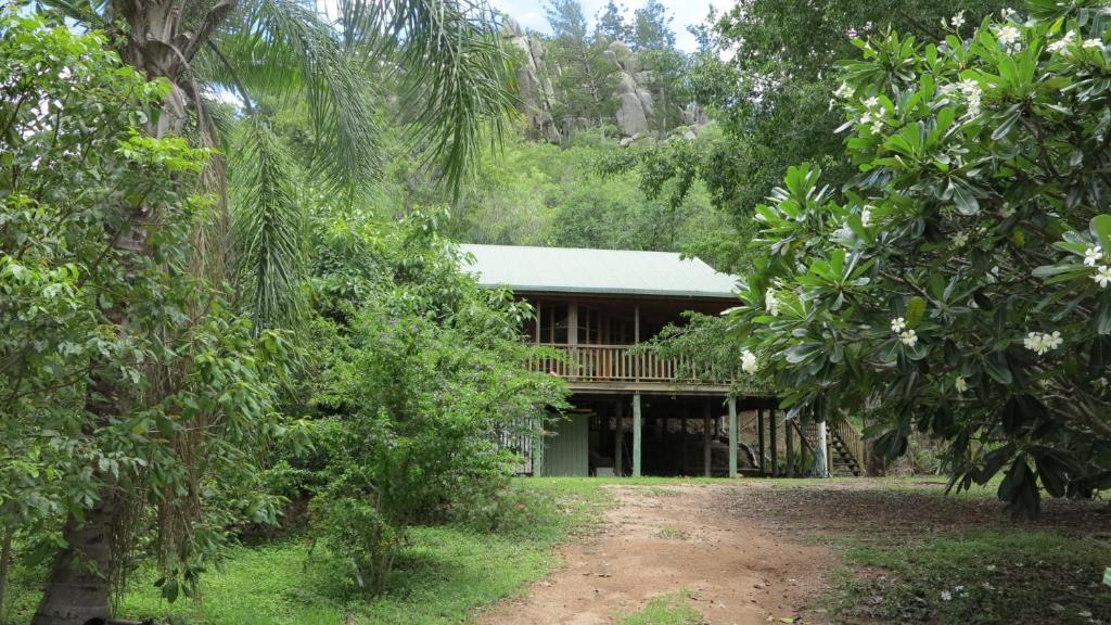 ein Haus mitten im Wald in der Unterkunft Kameruka in Arcadia