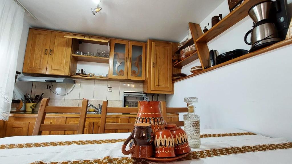 Kuchyň nebo kuchyňský kout v ubytování Casa Darius