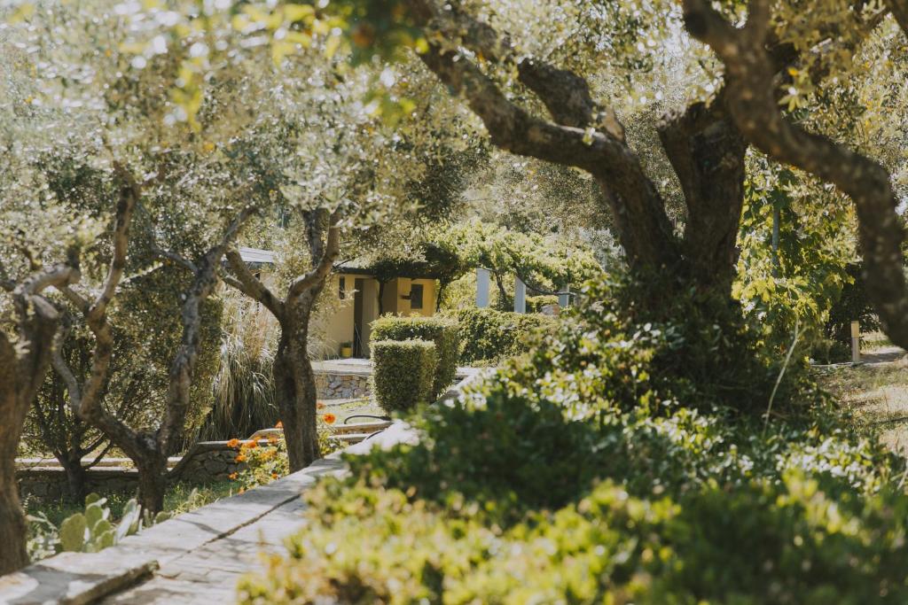 Zahrada ubytování Porto Valitsa