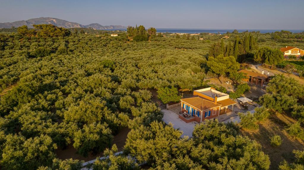 Táj Show holiday homes közelében
