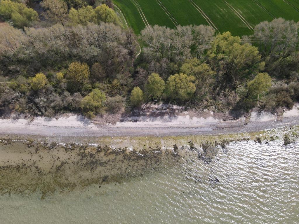 an aerial view of a river with trees and water at Ferienbungalow Zum Anleger 3 in Hohenkirchen