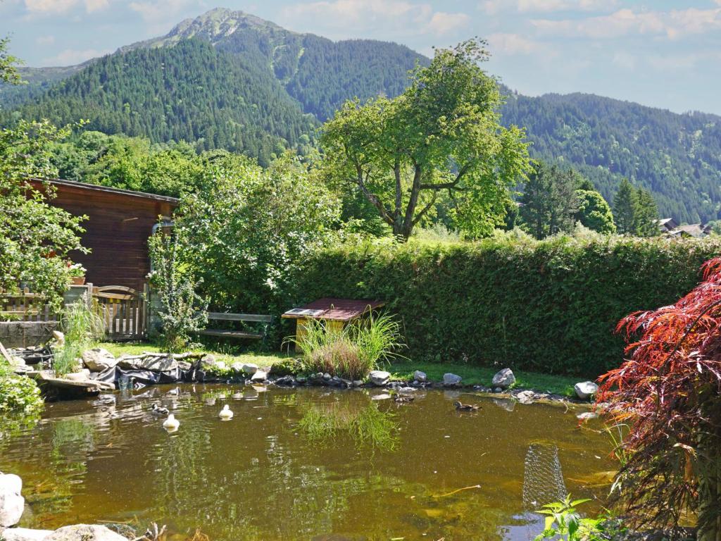 Příroda nedaleko apartmánu
