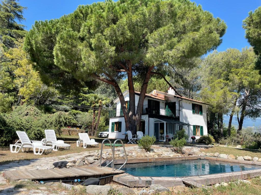 a house with a tree and a swimming pool at Holiday Home Villa La Vigna - TAZ175 by Interhome in Torrazza