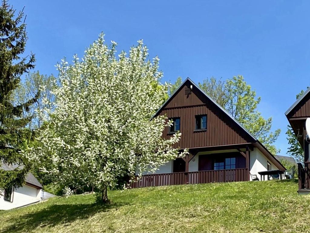 une maison sur une colline avec un arbre devant elle dans l'établissement Holiday Home Holiday Hill 32 by Interhome, à Lauterwasser