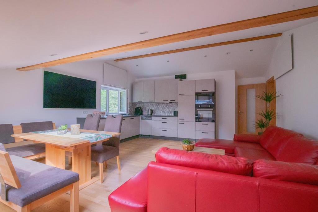 Kuchyň nebo kuchyňský kout v ubytování "Haus am Illufer" Ihr Smart-Alpin-Home in Bludenz