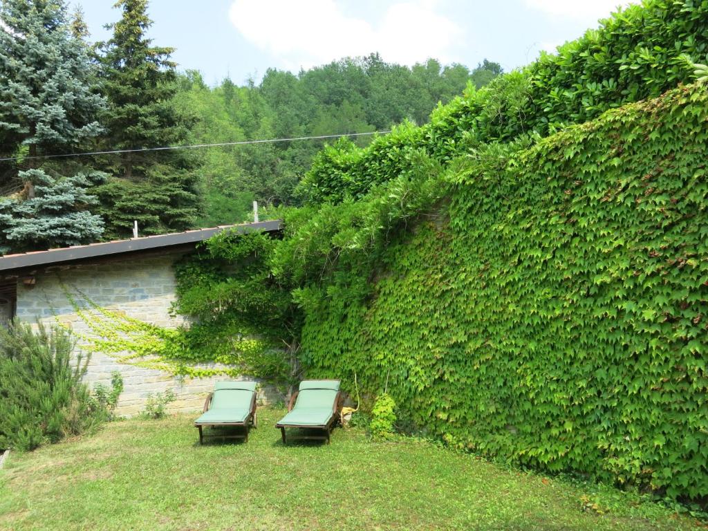 A garden outside Holiday Home Castellaio by Interhome